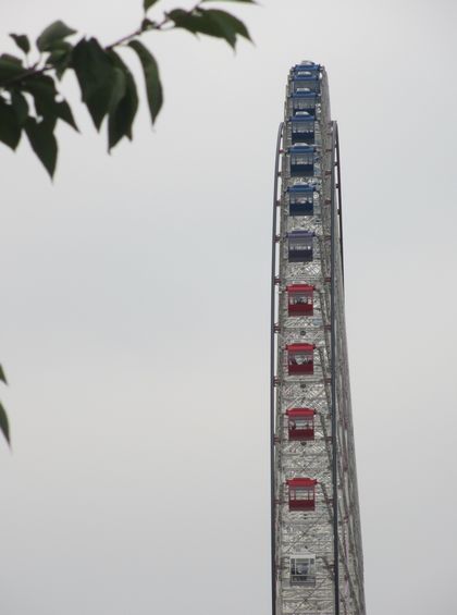 イメージ 1