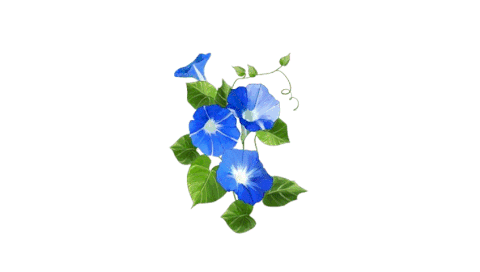 1-ezgif.com-resize (1)