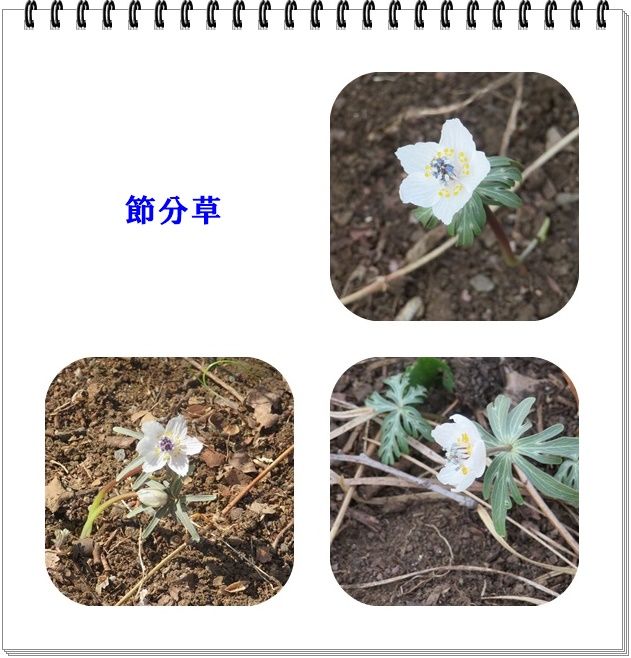イメージ 8