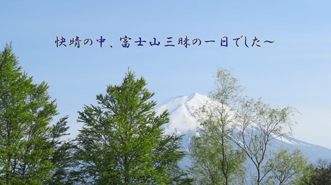 IMG_2300 (2)