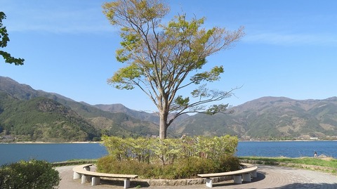 IMG_2275 (3)