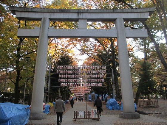 イメージ 2