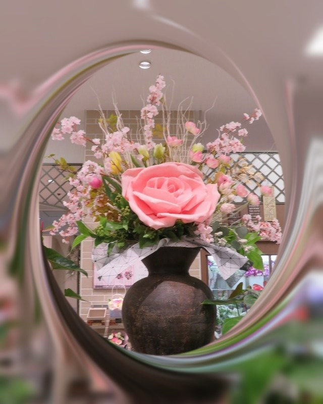イメージ 5