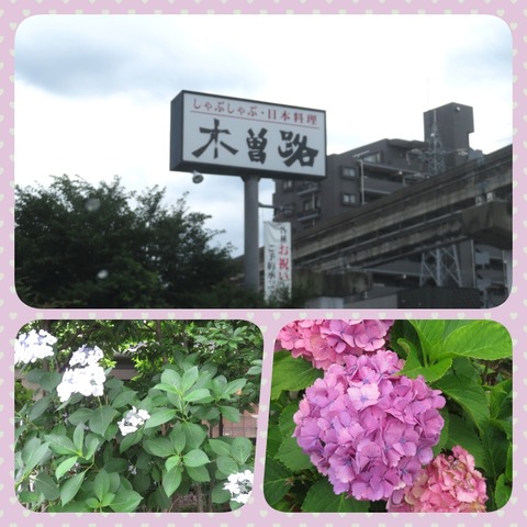 7collage