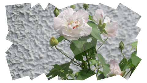 tuxpi.com.1598513533