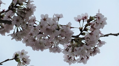 IMG_3871 (2)