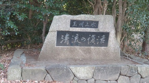 IMG_9320 (2)