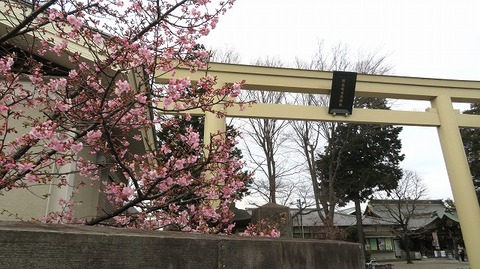 IMG_5588_1