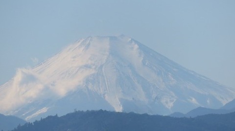 IMG_4449_1