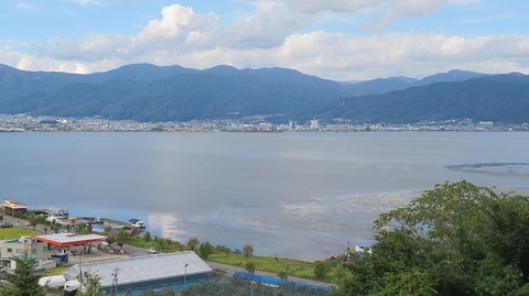IMG_5313 (2)