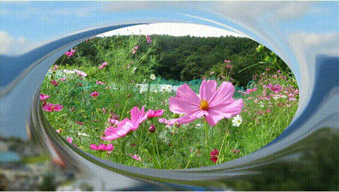 プレゼンテーション2