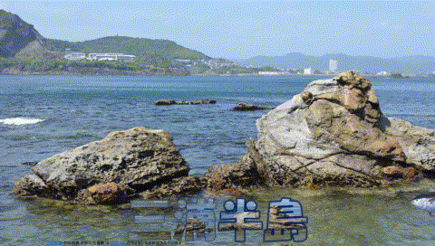 1芋窪街道白2つり(1)