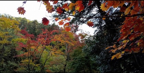 ダウンロード (3)