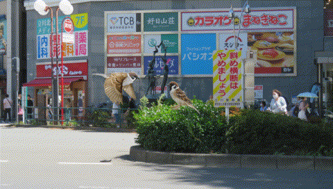 ブル3