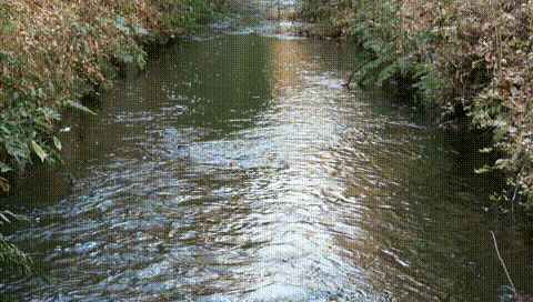 MVI_9314