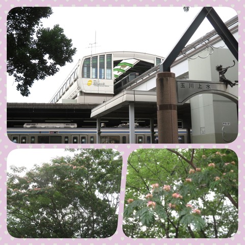 2collage