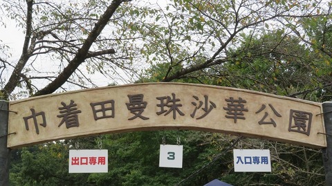 IMG_7085 (2)