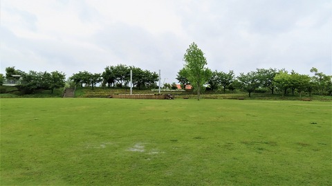 IMG_9535 (2)