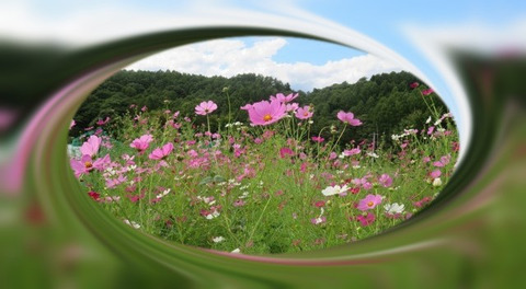 tuxpi.com.1600258471