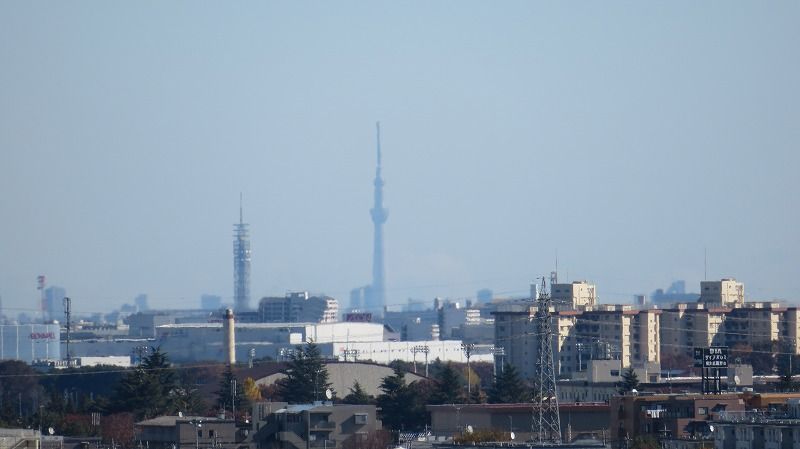 イメージ 11