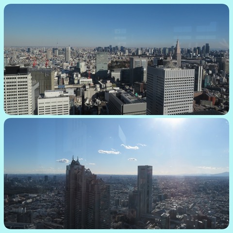 1collage