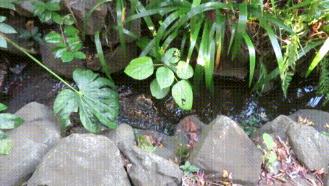 MVI_2983