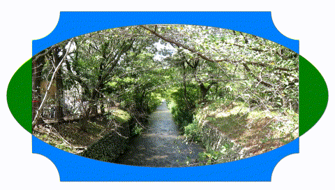 プレゼンテーション6(5)