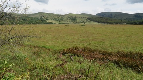 IMG_5251 (2)