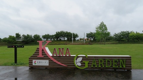 IMG_9536 (2)
