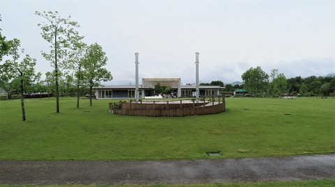 IMG_9465 (2)