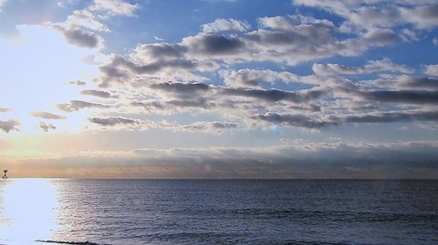 IMG_9153 (2)