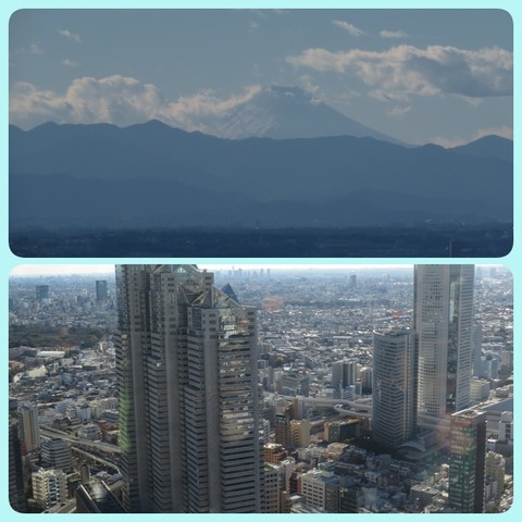 11collage
