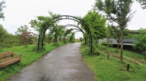 IMG_9434 (2)
