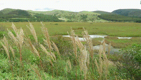MVI_5266