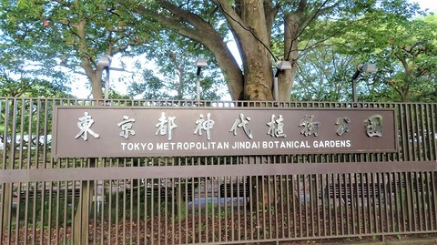 IMG_3743 (3)