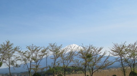 IMG_2199 (2)
