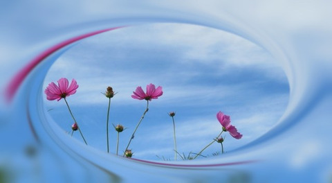 tuxpi.com.1600257993