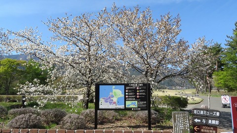 IMG_2226 (2)