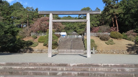 IMG_8794 (2)