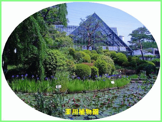 https://livedoor.blogimg.jp/toshiko3692/imgs/d/a/da45103f.gif