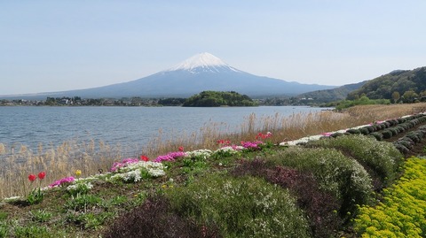 IMG_2157 (2)