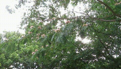 MVI_3859