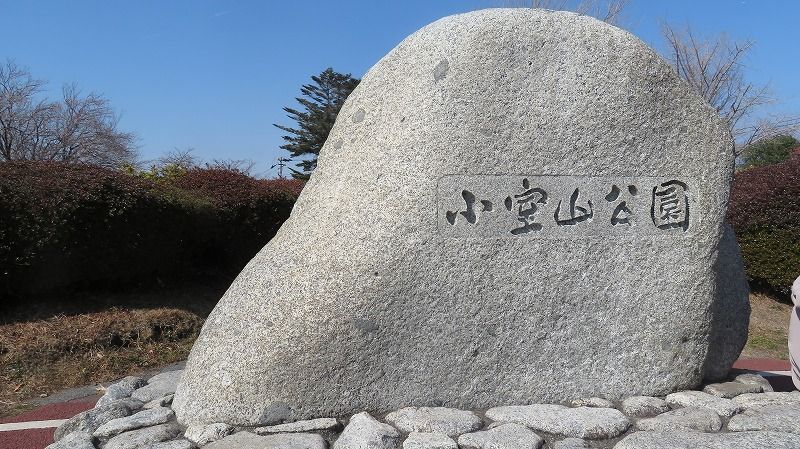 イメージ 5