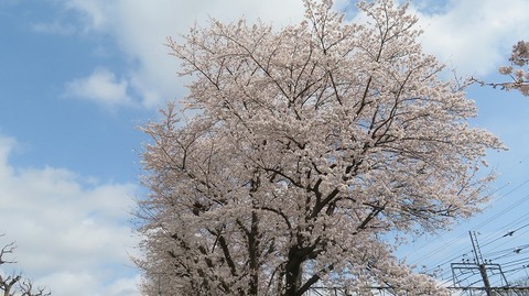 IMG_3840 (2)
