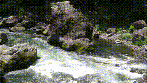 MVI_7646