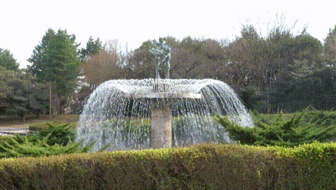 MVI_2873