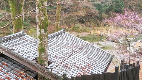 IMG_4778_1