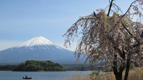 IMG_2206 (2)