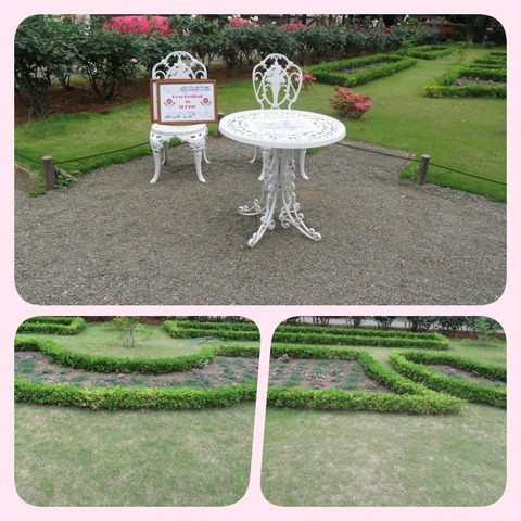 3collage
