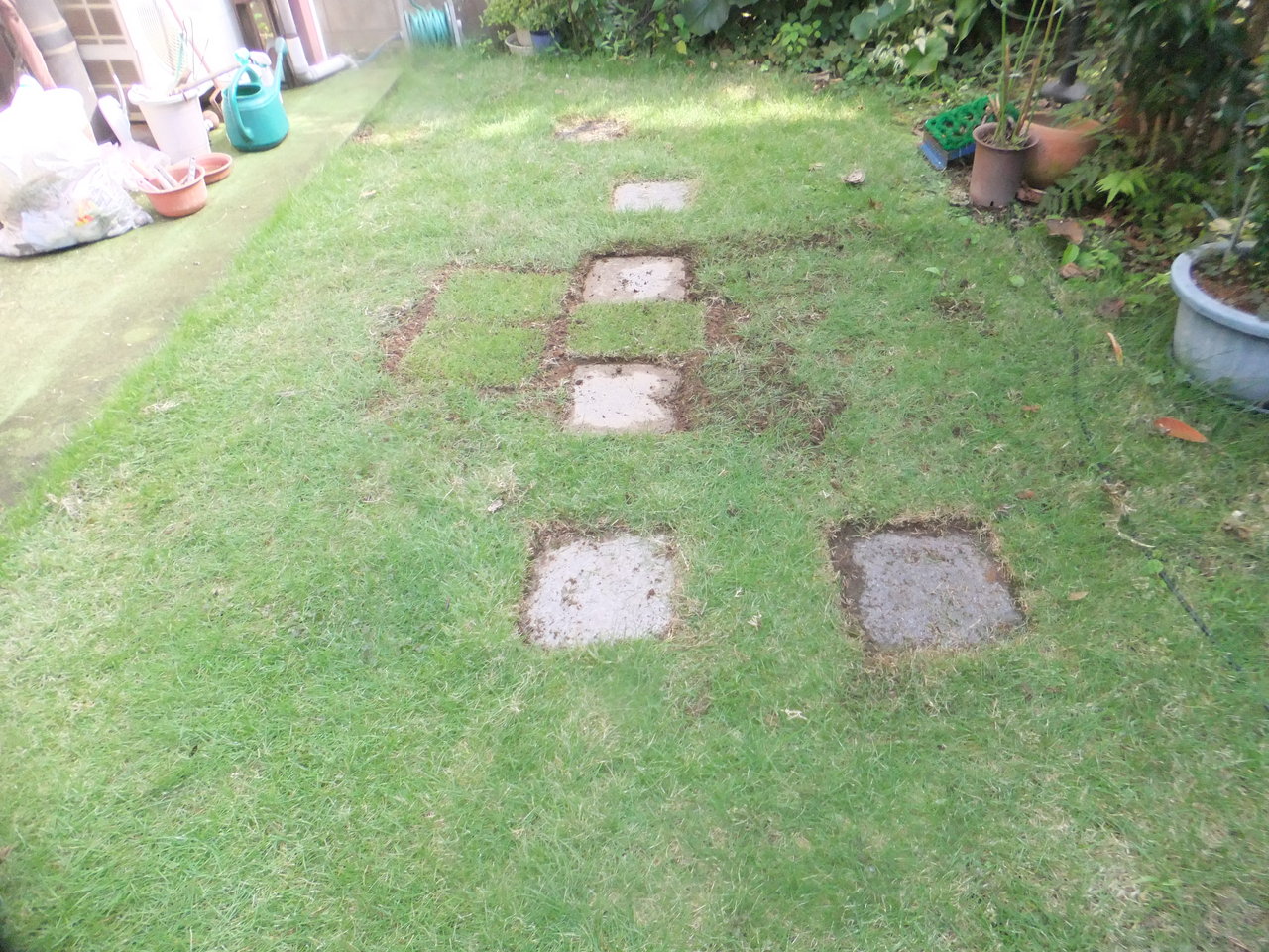 芝張り 続 先祖は海賊